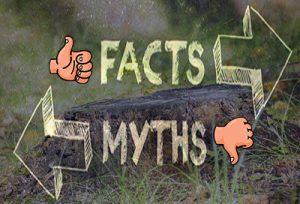 Facts and Myths text over a picture of a stump
