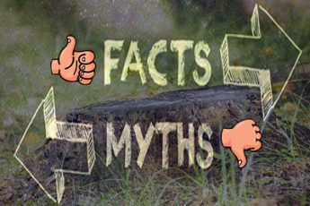 Facts and Myths text over a picture of a stump